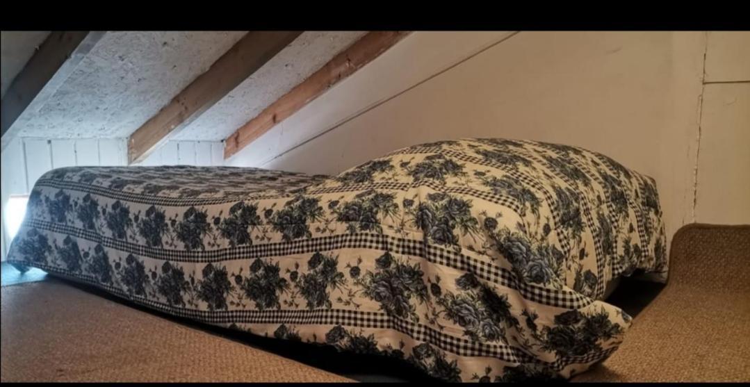 Casa Wilson Villa Zapallar Eksteriør billede